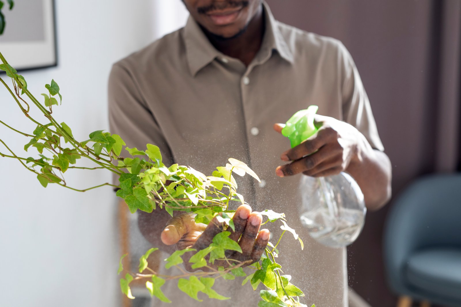 Service de jardinage professionnel à Rabat